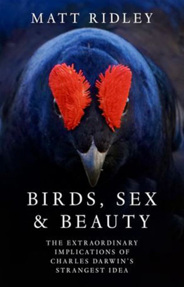 Birds Sex and Beauty